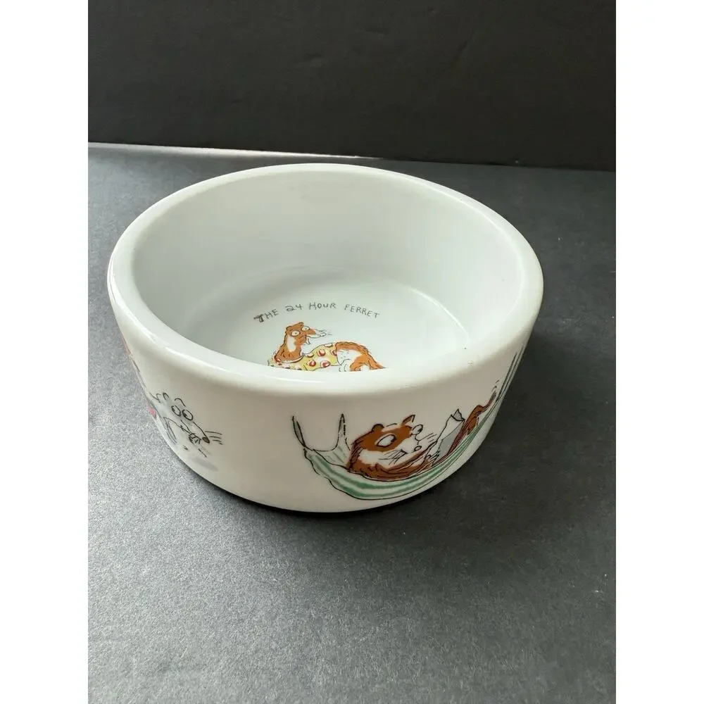 Cat Food Water Dish Ceramic The 24 Hour Ferret Debra Solomon Whimsycore